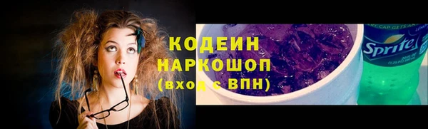 дживик Абаза