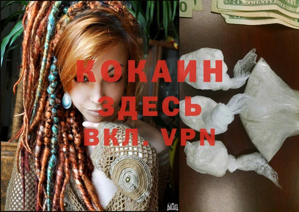 дживик Абаза