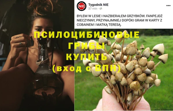 прущая мука Алексин