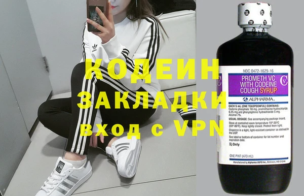 дживик Абаза