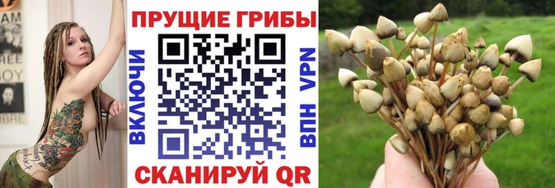Псилоцибиновые грибы GOLDEN TEACHER  MEGA ссылки  Касли 